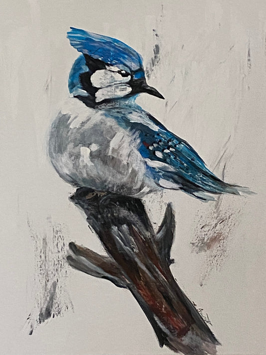 Painting of a perfectly balance blue jay on a branch. Vibrant and captivating colors. 